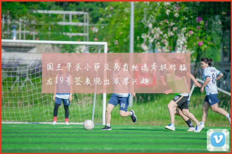 国王寻求小萨交易首轮选秀权对猛龙19号签表现出浓厚兴趣